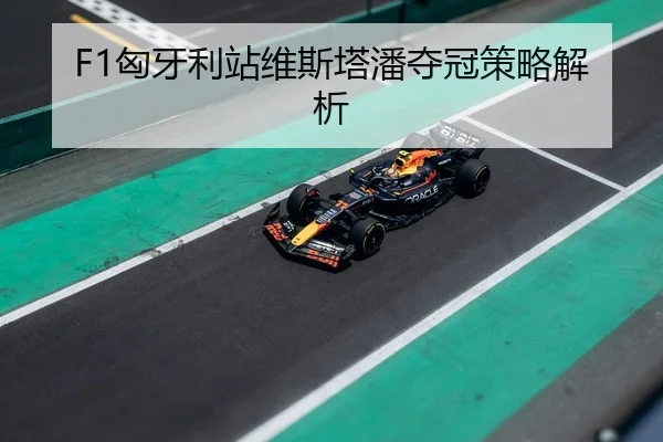 xiong-ya-li-zhan-wei-si-ta-pan-duo-guan-ce-lve-jie-xi-3-420.jpg